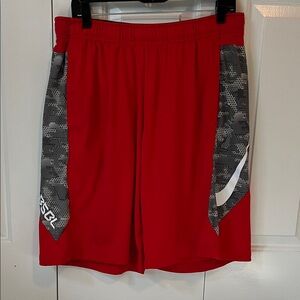 Men’s Nike MLB Dri-Fit baseball shorts